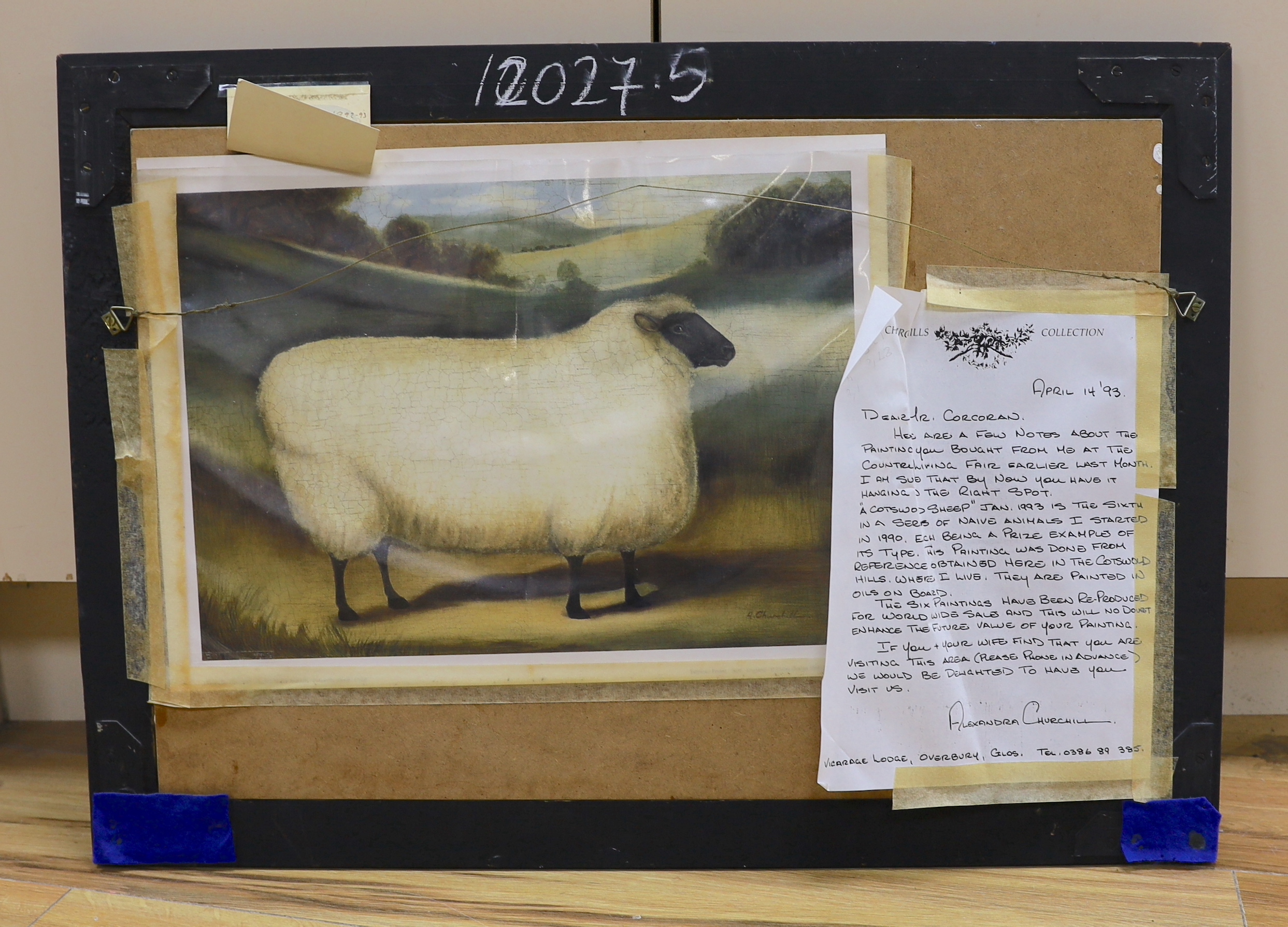 Alexandra Churchill (Contemporary), naive oil on board, 'A Cotswold sheep', signed, provenance details verso, 39 x 59cm